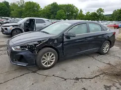 5NPE24AF1KH753102 2019 HYUNDAI SONATA
