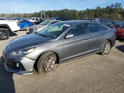 5NPE24AF1KH753424 2019 HYUNDAI SONATA