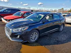 5NPE24AF1KH753536 2019 HYUNDAI SONATA