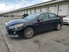 5NPE24AF1KH754248 2019 HYUNDAI SONATA