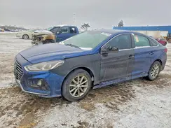 5NPE24AF1KH755769 2019 HYUNDAI SONATA