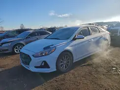 5NPE24AF1KH755996 2019 HYUNDAI SONATA