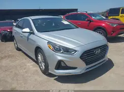 5NPE24AF1KH756968 2019 HYUNDAI SONATA