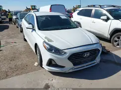 5NPE24AF1KH758736 2019 HYUNDAI SONATA
