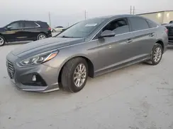 5NPE24AF1KH760230 2019 HYUNDAI SONATA