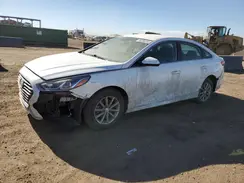 5NPE24AF1KH761359 2019 HYUNDAI SONATA