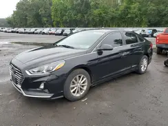 5NPE24AF1KH761734 2019 HYUNDAI SONATA