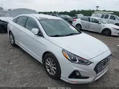 5NPE24AF1KH762351 2019 HYUNDAI SONATA