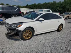 5NPE24AF1KH762446 2019 HYUNDAI SONATA