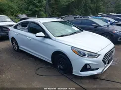5NPE24AF1KH767467 2019 HYUNDAI SONATA