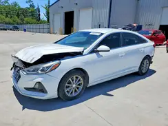 5NPE24AF1KH770188 2019 HYUNDAI SONATA