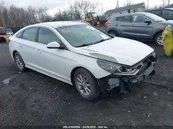 5NPE24AF1KH771065 2019 HYUNDAI SONATA