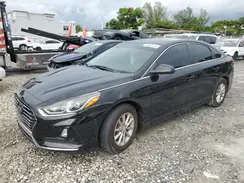 5NPE24AF1KH776007 2019 HYUNDAI SONATA