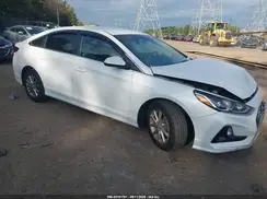 5NPE24AF1KH777058 2019 HYUNDAI SONATA