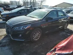 5NPE24AF1KH779604 2019 HYUNDAI SONATA