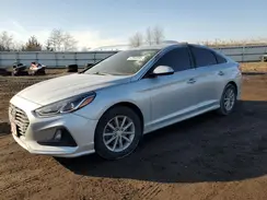 5NPE24AF1KH779649 2019 HYUNDAI SONATA