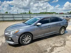 5NPE24AF1KH780073 2019 HYUNDAI SONATA