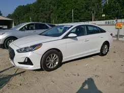 5NPE24AF1KH786228 2019 HYUNDAI SONATA