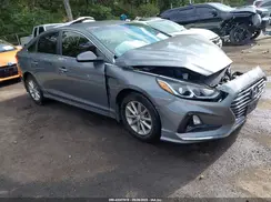 5NPE24AF1KH788125 2019 HYUNDAI SONATA