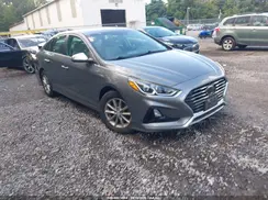 5NPE24AF1KH790117 2019 HYUNDAI SONATA