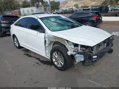 5NPE24AF1KH794071 2019 HYUNDAI SONATA