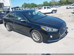 5NPE24AF1KH796242 2019 HYUNDAI SONATA