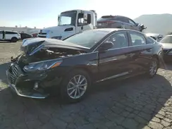 5NPE24AF1KH797679 2019 HYUNDAI SONATA