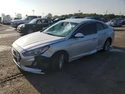 5NPE24AF1KH803139 2019 HYUNDAI SONATA