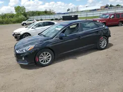 5NPE24AF1KH804291 2019 HYUNDAI SONATA