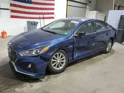 5NPE24AF1KH806199 2019 HYUNDAI SONATA