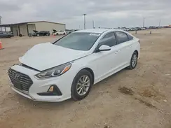 5NPE24AF1KH810446 2019 HYUNDAI SONATA