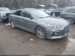 5NPE24AF1KH813976 2019 HYUNDAI SONATA