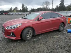 5NPE24AF1KH815467 2019 HYUNDAI SONATA