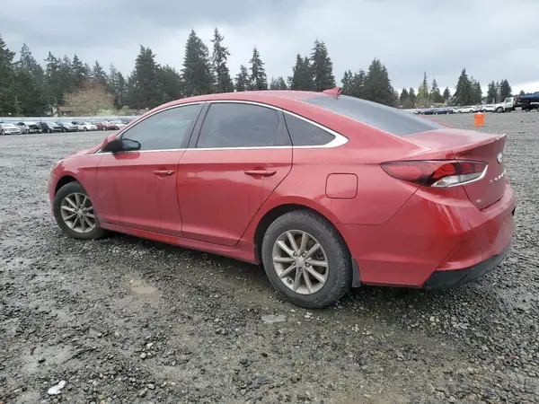 5NPE24AF1KH815467 2019 HYUNDAI SONATA - Image 2