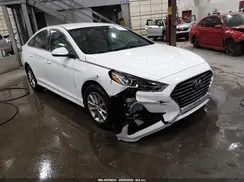 5NPE24AF1KH819681 2019 HYUNDAI SONATA