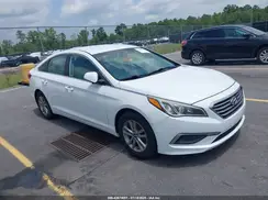 5NPE24AF2GH260620 2016 HYUNDAI SONATA