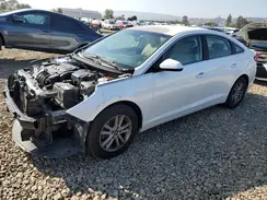 5NPE24AF2GH274985 2016 HYUNDAI SONATA