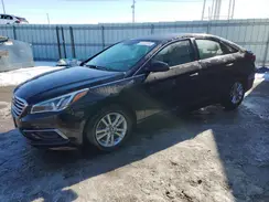 5NPE24AF2GH288823 2016 HYUNDAI SONATA