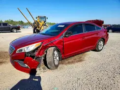 5NPE24AF2GH290314 2016 HYUNDAI SONATA