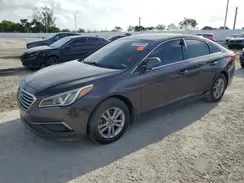 5NPE24AF2GH297005 2016 HYUNDAI SONATA