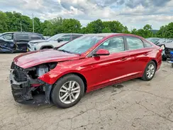 5NPE24AF2GH301571 2016 HYUNDAI SONATA