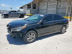 5NPE24AF2GH304602 2016 HYUNDAI SONATA