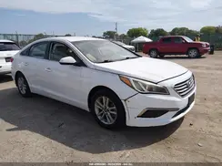 5NPE24AF2GH305877 2016 HYUNDAI SONATA