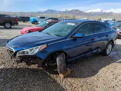 5NPE24AF2GH312022 2016 HYUNDAI SONATA