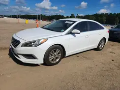 5NPE24AF2GH312652 2016 HYUNDAI SONATA