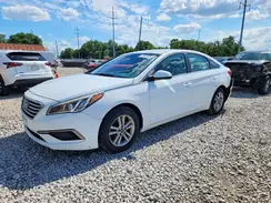 5NPE24AF2GH314255 2016 HYUNDAI SONATA