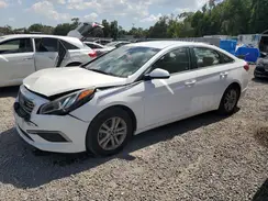5NPE24AF2GH318290 2016 HYUNDAI SONATA