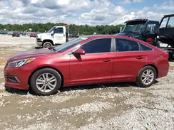5NPE24AF2GH320427 2016 HYUNDAI SONATA