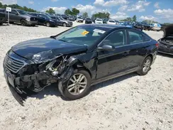 5NPE24AF2GH330911 2016 HYUNDAI SONATA