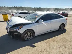 5NPE24AF2GH340810 2016 HYUNDAI SONATA